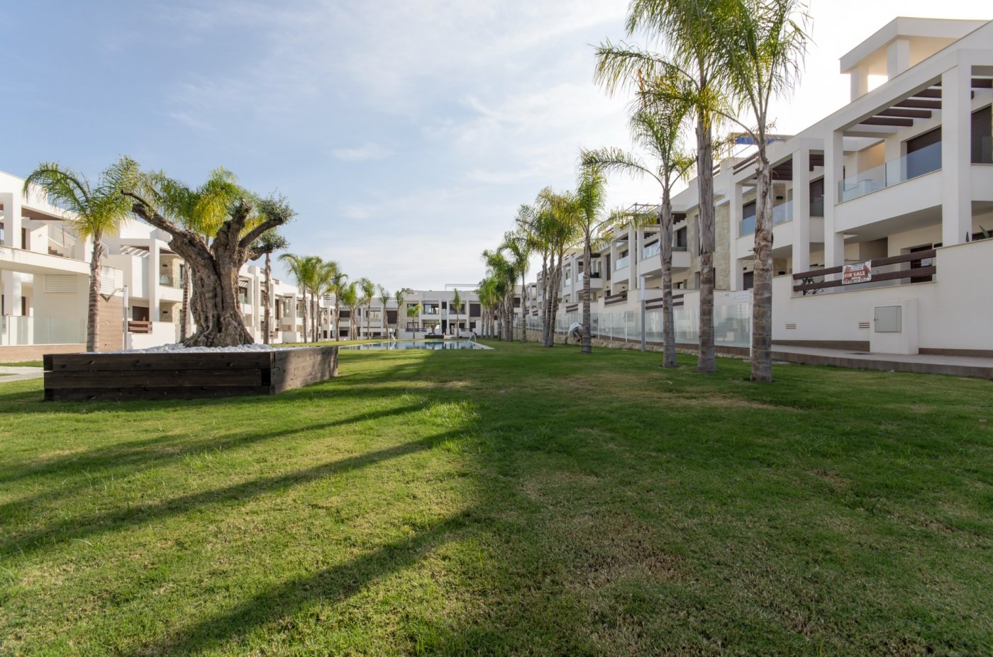 Property 29