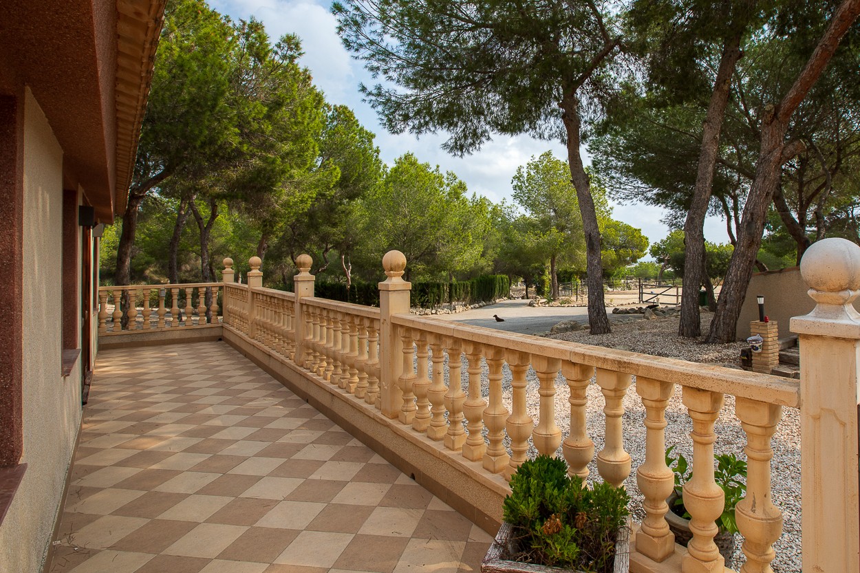 Propiedad 32