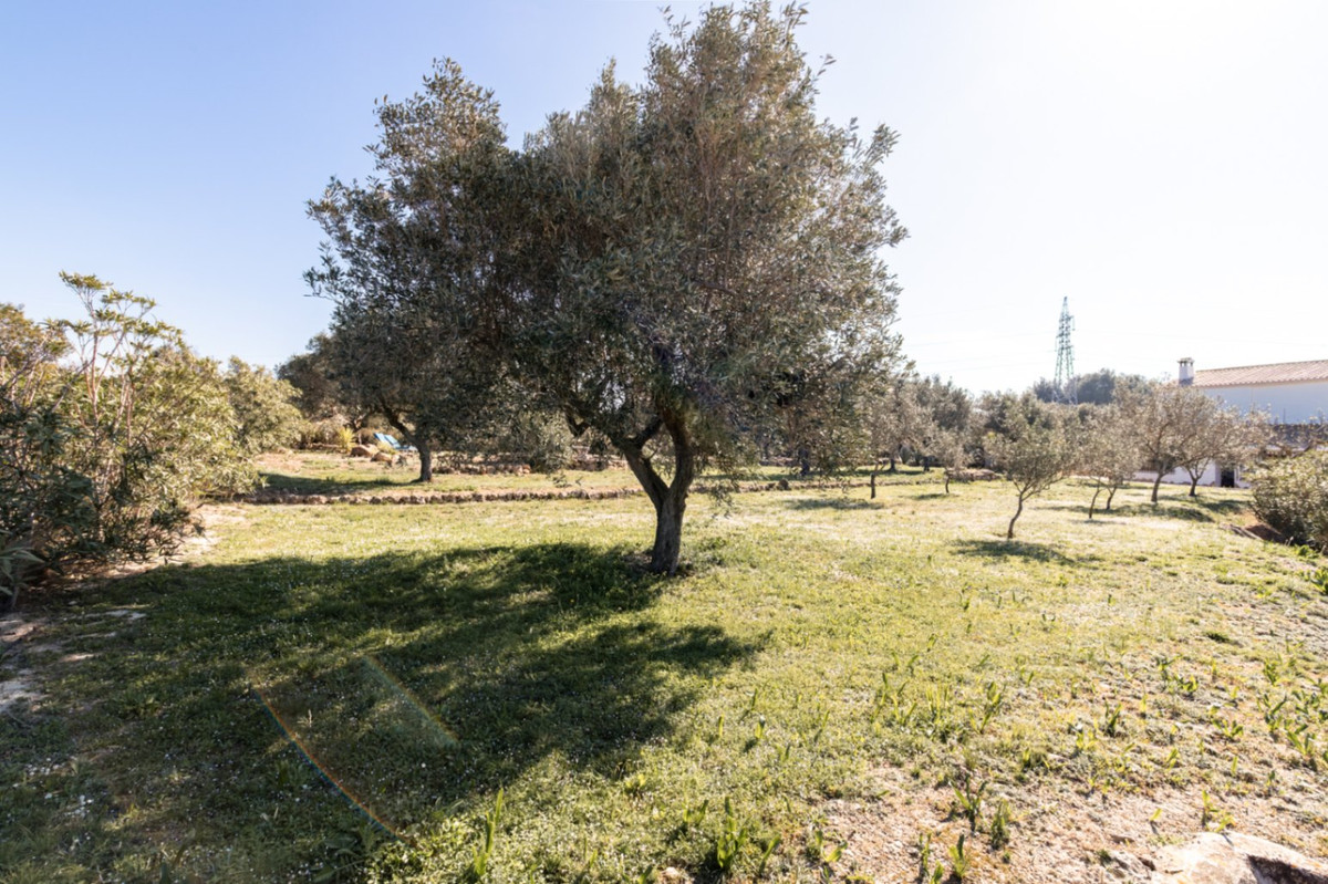 Property 58