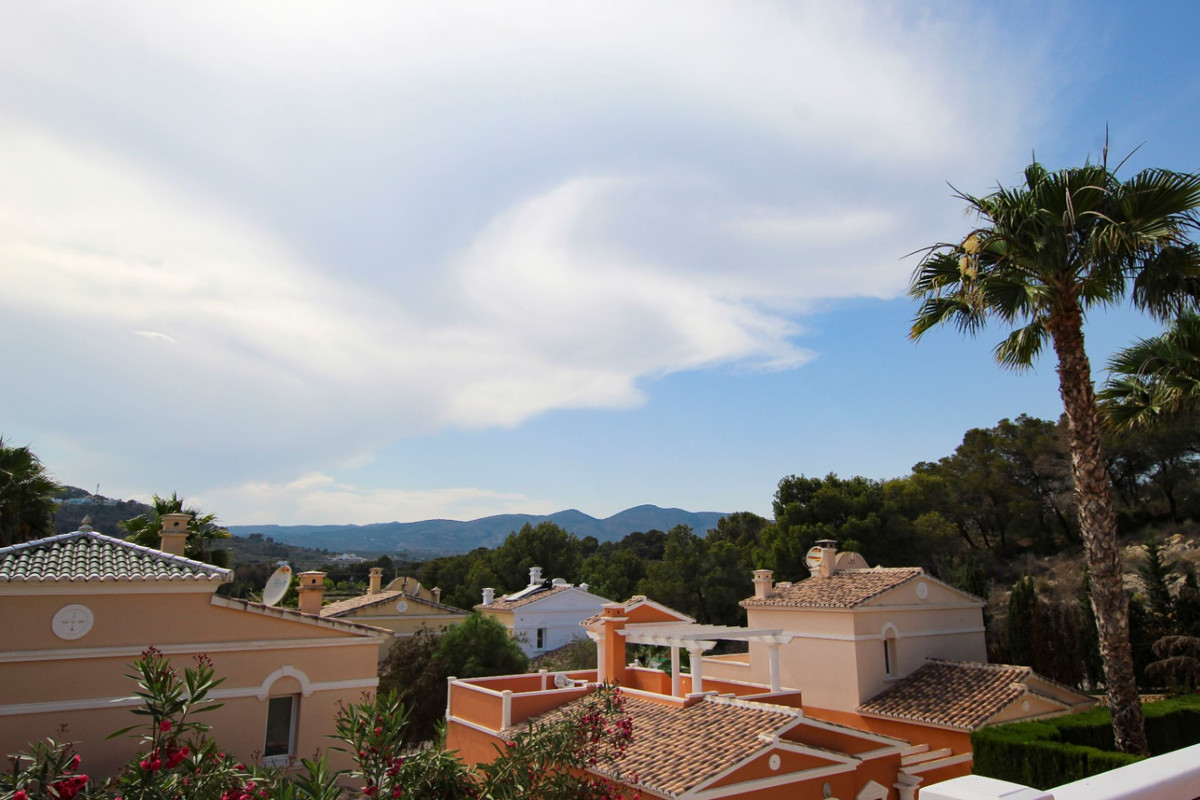 Property 29