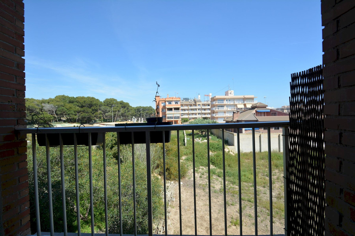 Propiedad 40