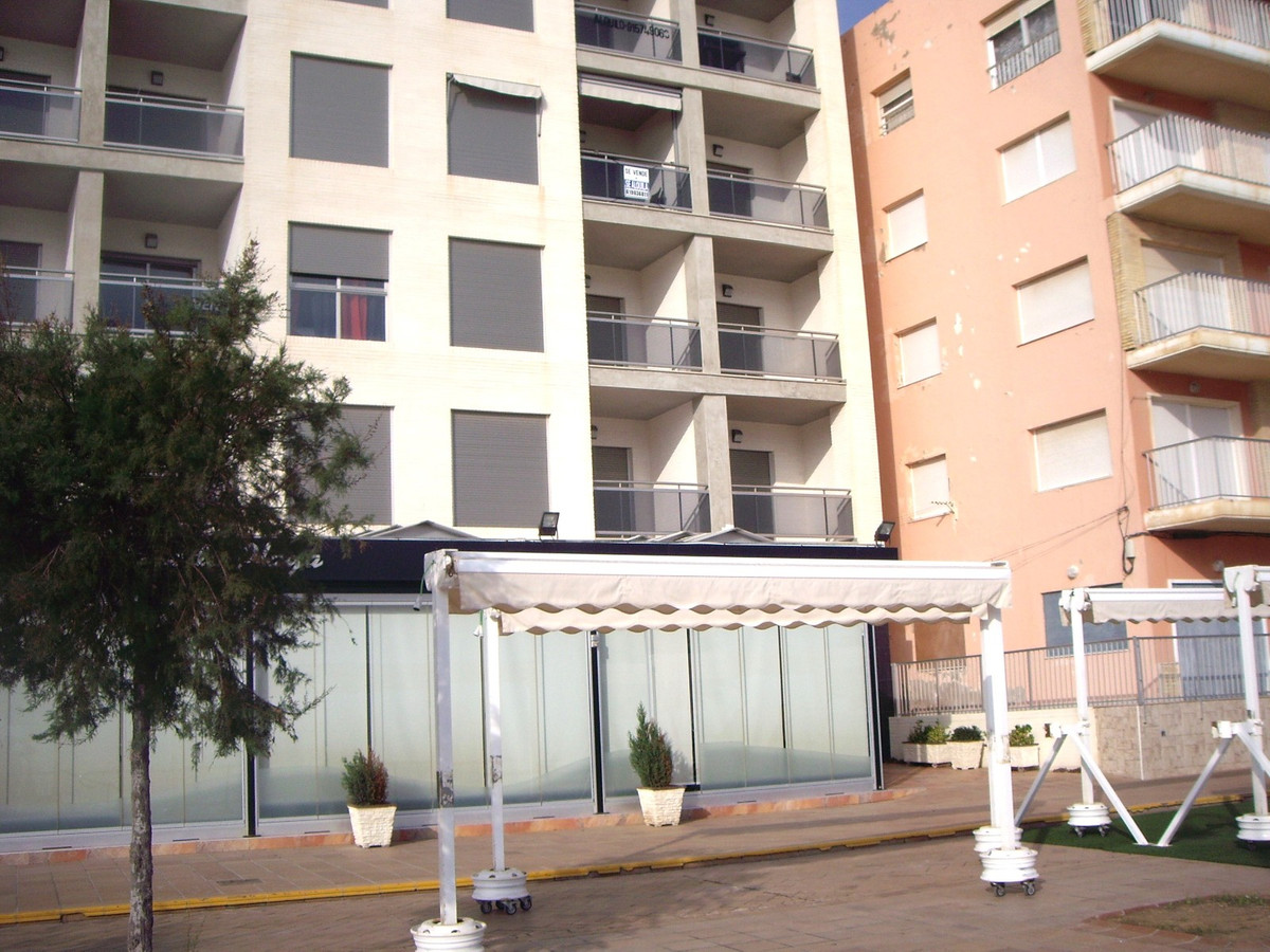 Propiedad 50