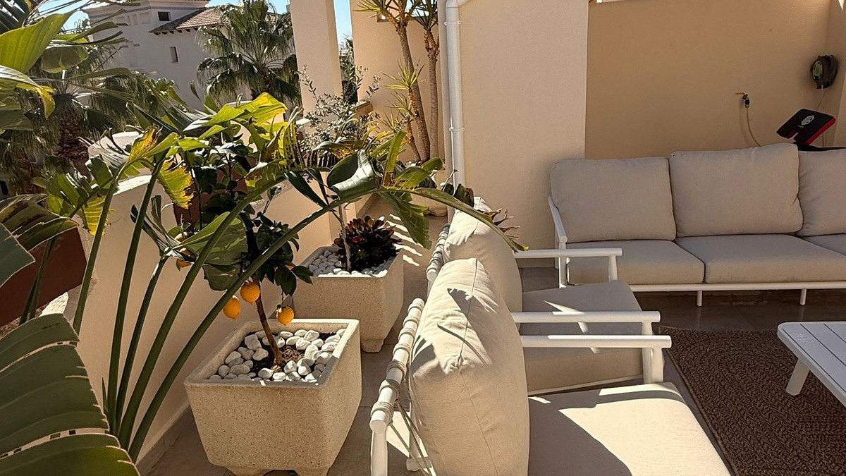 Property 38