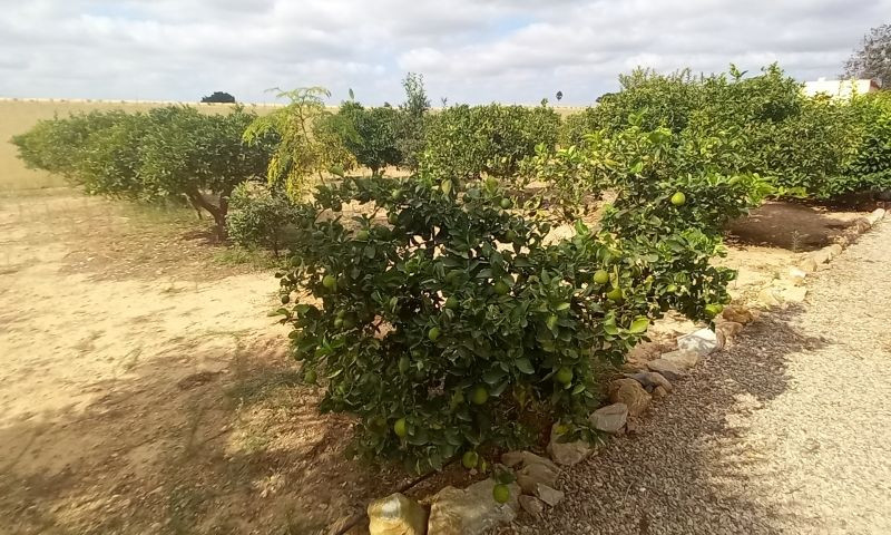 Propiedad 36