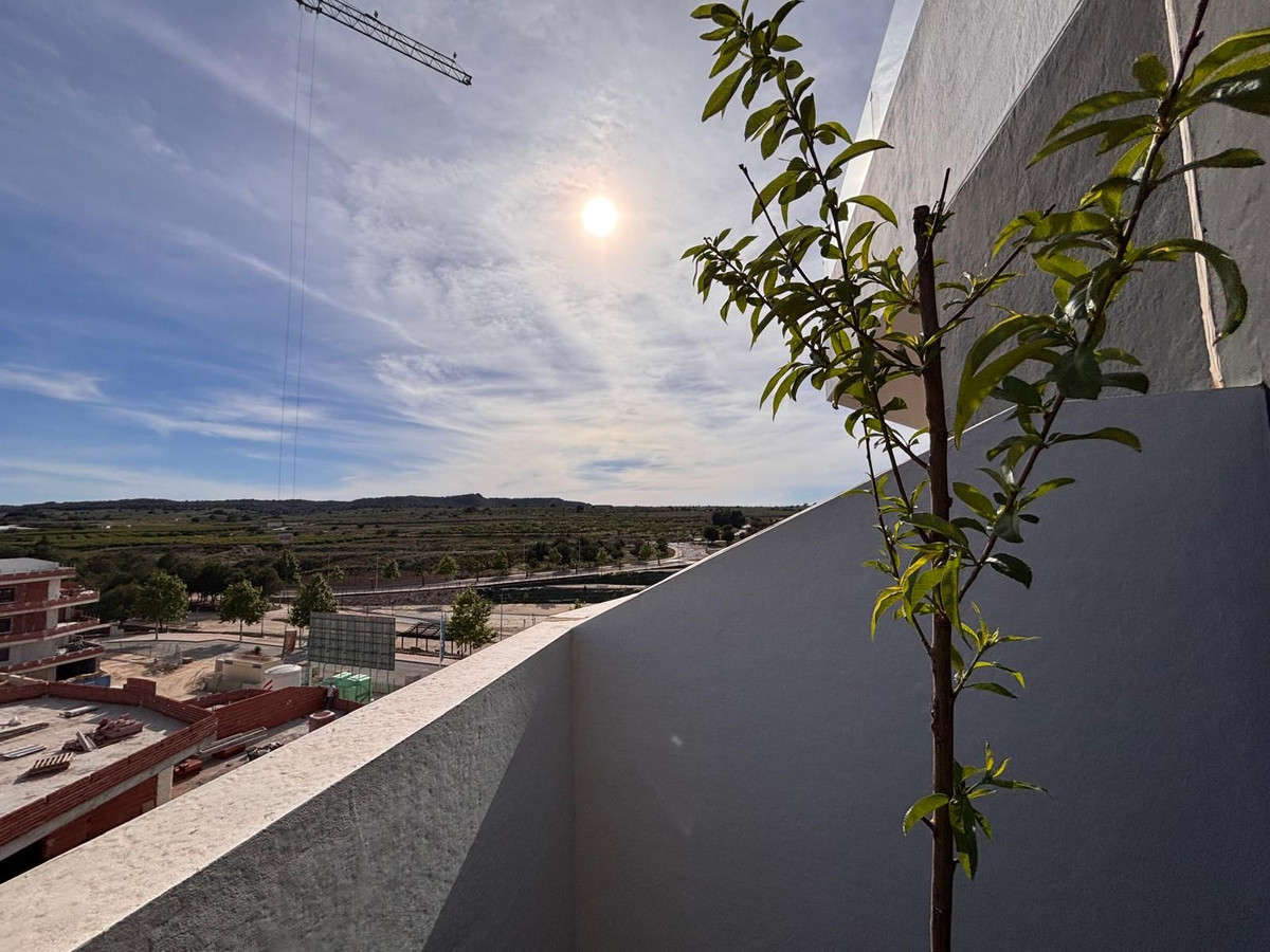 Property 29