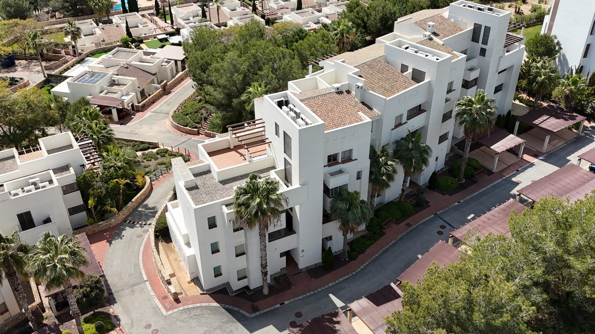 Property 38