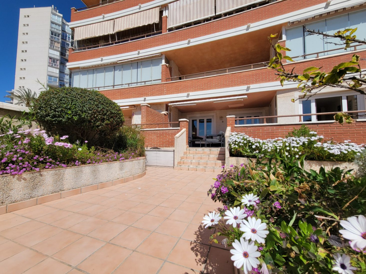 Propiedad 39