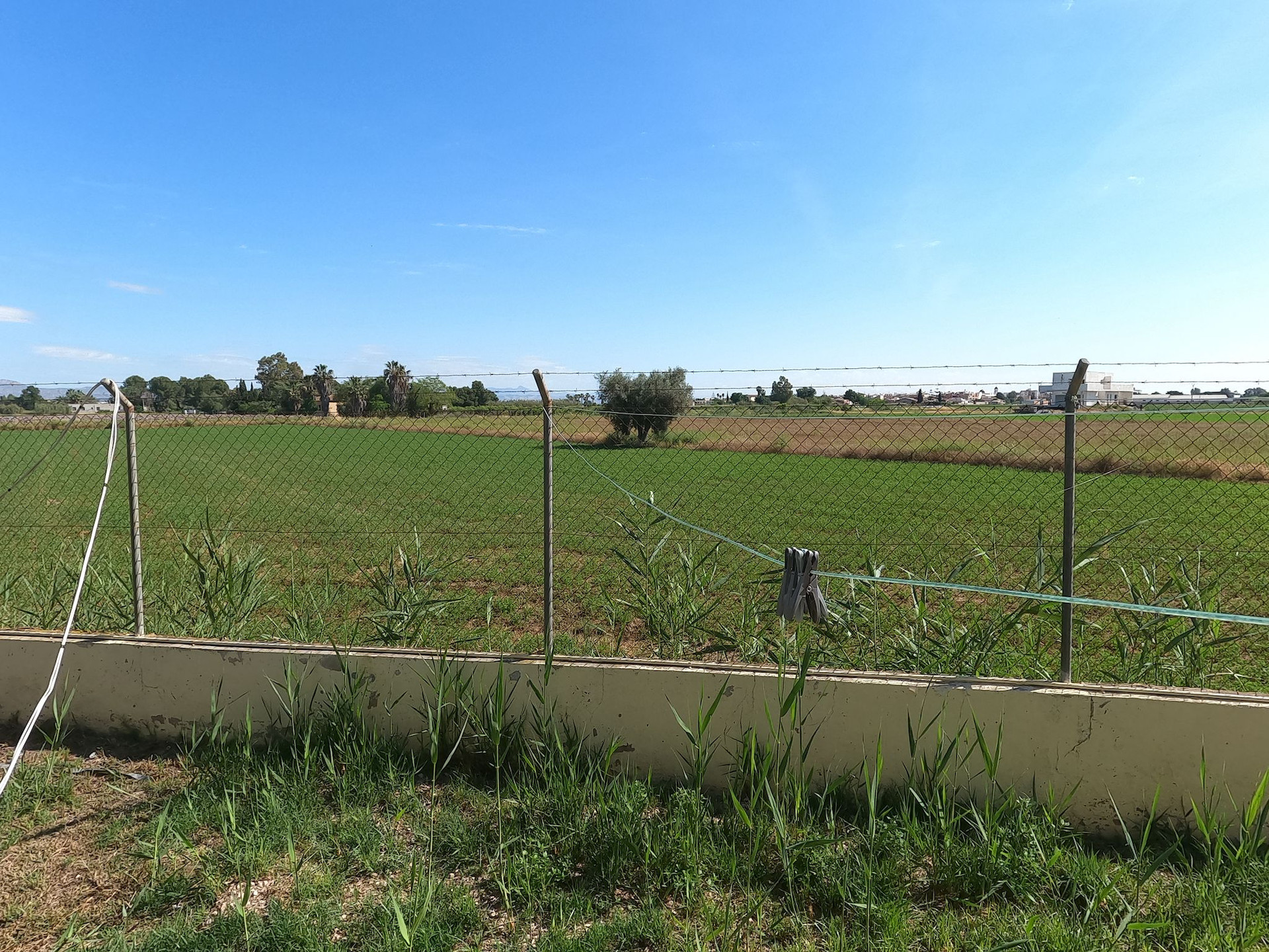 Property 23