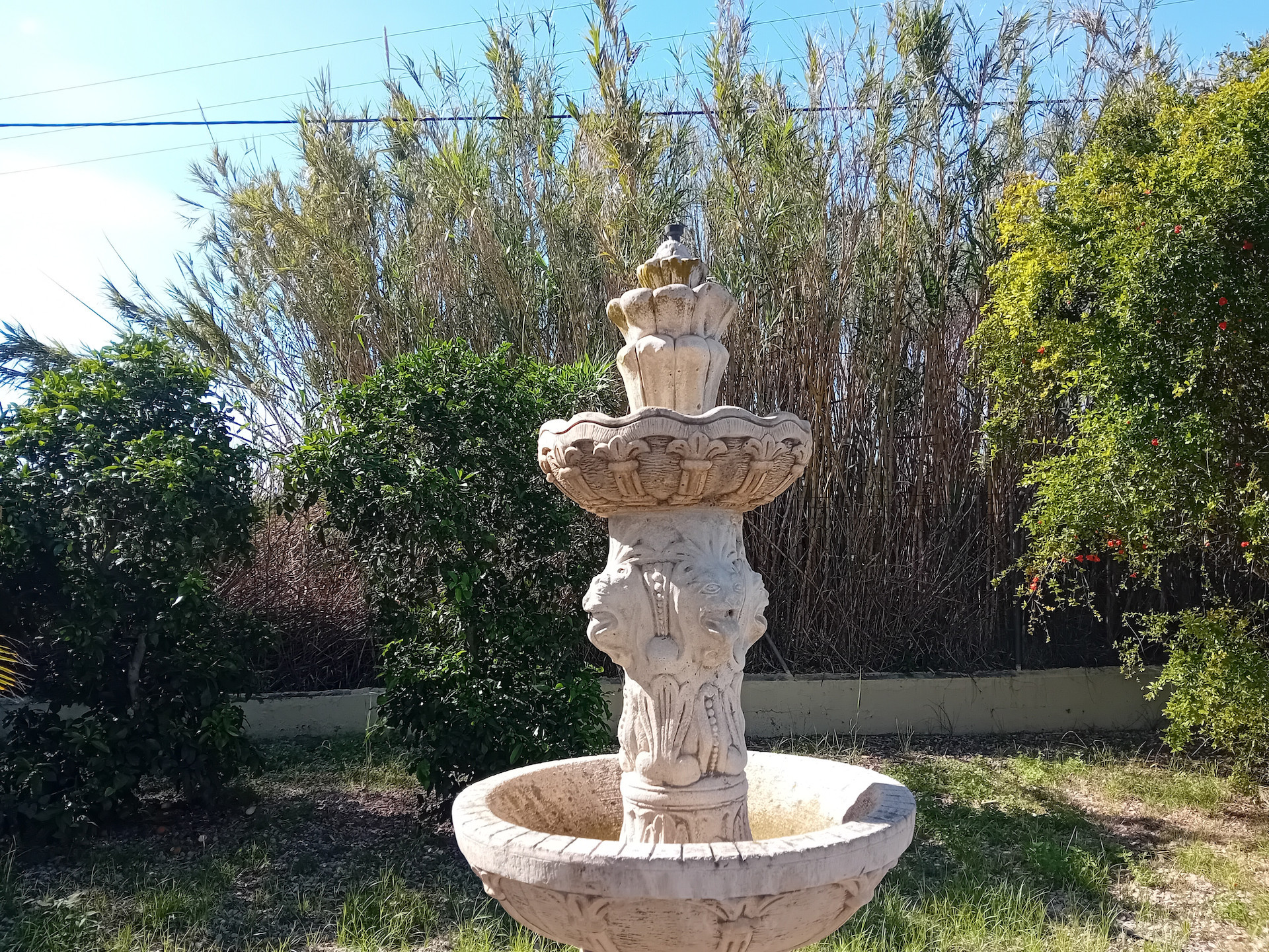 Property 26