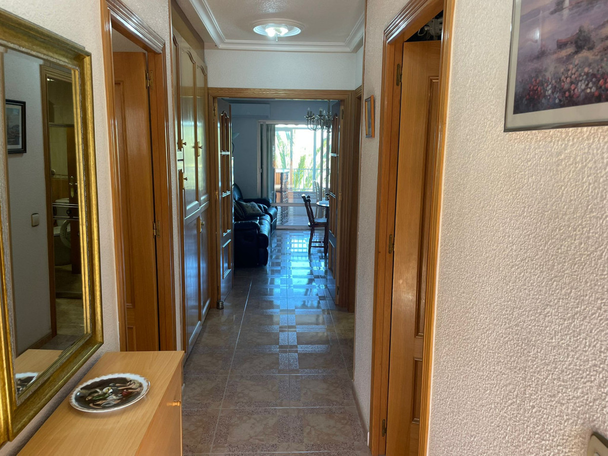 Propriedade 24